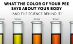 ဆီးအရောင်က ပြောပြတဲ့ သင့်ကျန်းမာရေး